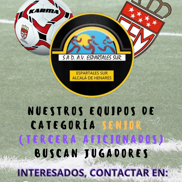 Nuestros equipos de categoría senior buscan jugadores
